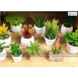 CHẬU GỐM NHỎ MÀU TRẮNG SỐ 07