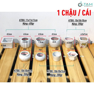 CHẬU GỐM NHỎ MÀU TRẮNG SỐ 07.7