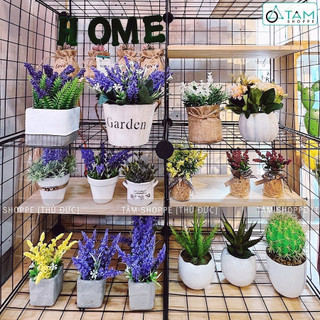 CHẬU GỐM NHỎ MÀU TRẮNG SỐ 07.10