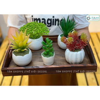 CHẬU GỐM NHỎ MÀU TRẮNG SỐ 07.9