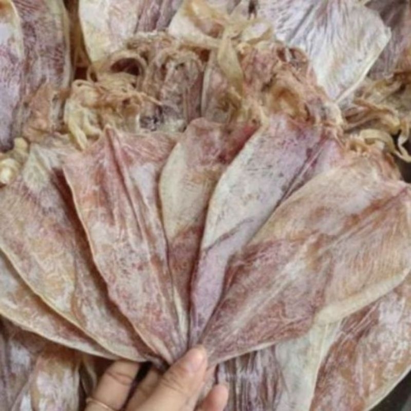 MỰC Y hình 10con bằng bàn tay