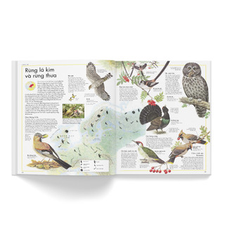 Sách - Atlas các loài chim
