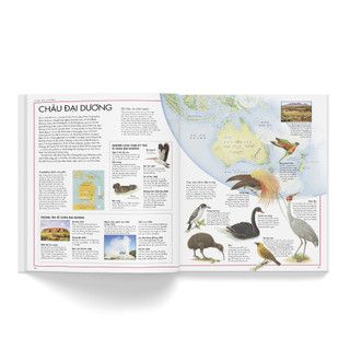 Sách - Atlas các loài chim