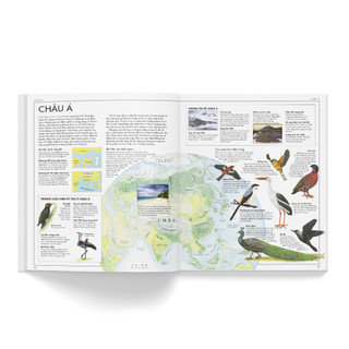 Sách - Atlas các loài chim
