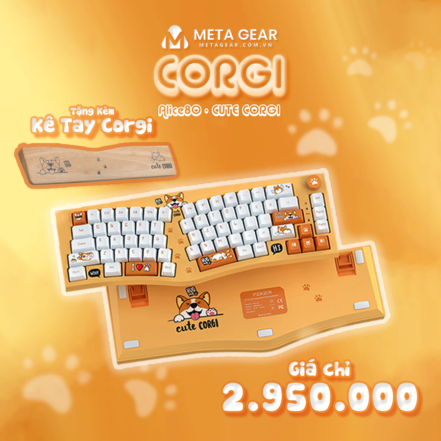 Bàn phím cơ không dây FEKER ALICE 80 - CORGI | 3 modes | Hotswap | Mạch xuôi | VIA