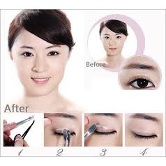 Dán Mí hàn quốc Kích Mí nhỏ và lớn