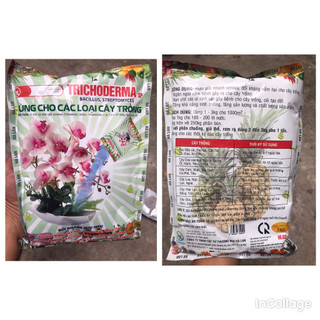 Nấm Đối Kháng Trichoderma, túi 1kg