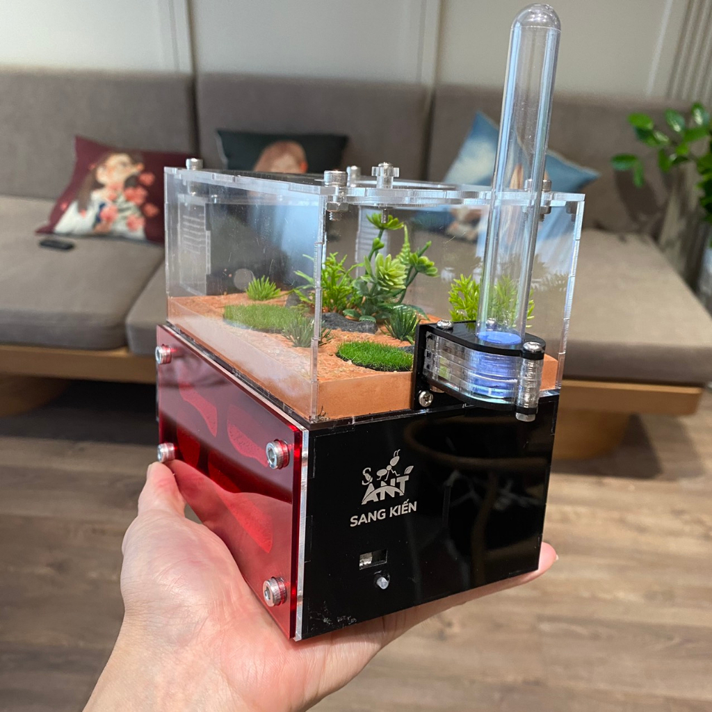 Hộp Nuôi Kiến, Nhà Cho Kiến, Tank Kiến S01
