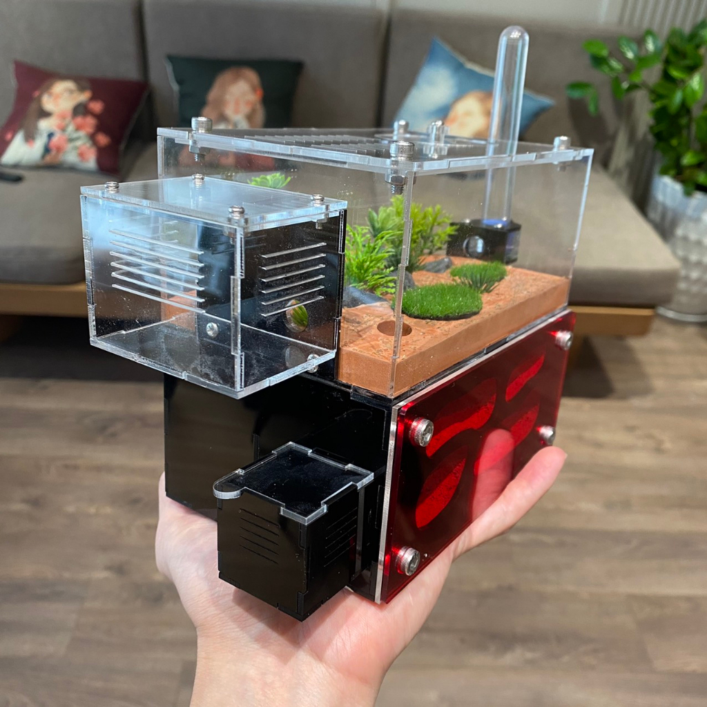 Hộp Nuôi Kiến, Nhà Cho Kiến, Tank Kiến S01
