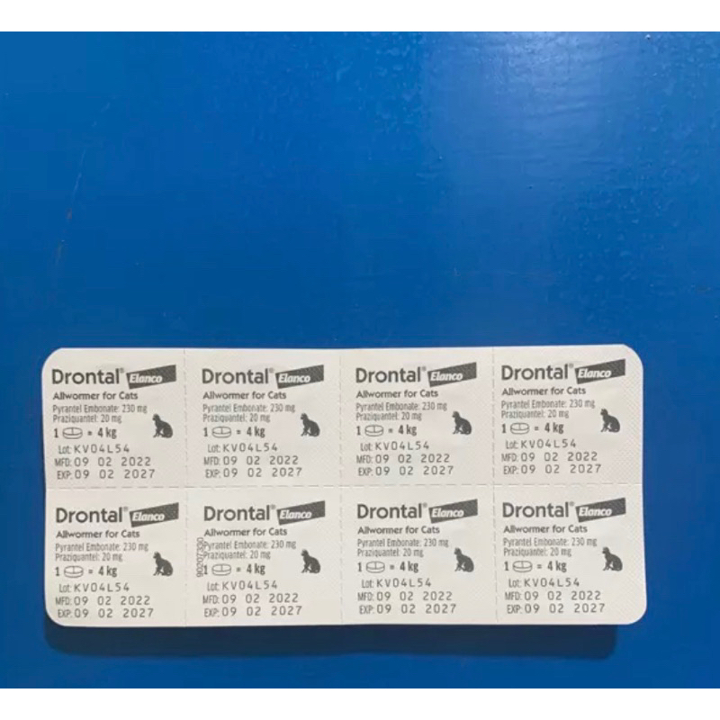 Viên hỗ trợ tiêu hoá cho chó mèo giúp bảo vệ chó mèo – meobeoshop