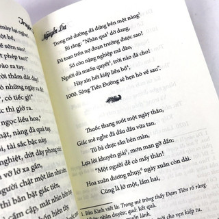 Sách: Truyện Kiều (Tái Bản)