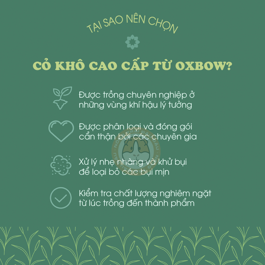 Cỏ Oxbow Botanical Cho Thỏ, Bọ Ú, Chinchilla 425g