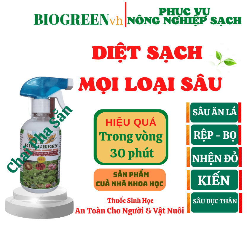 Chế phẩm sinh học BIOGREEN 555, hiệu quả đối với hơn 95% loại sâu, côn trùng gây bệnh trên mọi loại cây trồng