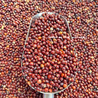 500GRAM ĐẬU SĂNG ĐĂKLĂK (MỘC ĐẬU, ĐẬU CHIỀU, ĐẬU CỌC RÀO, ĐẬU CHÈ, ĐẬU TRIỀU) (CÓ XUẤT HÓA ĐƠN CÔNG TY)
