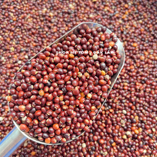 500GRAM ĐẬU SĂNG ĐĂKLĂK (MỘC ĐẬU, ĐẬU CHIỀU, ĐẬU CỌC RÀO, ĐẬU CHÈ, ĐẬU TRIỀU) (CÓ XUẤT HÓA ĐƠN CÔNG TY)