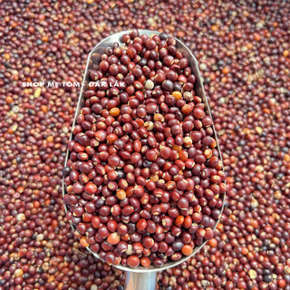 ĐẬU SĂNG 500gram - ĐẬU CHIỀU - ĐẬU CHÈ - MỘC ĐẬU