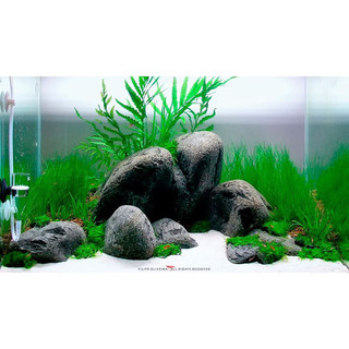 Cát trắng mịn trang trí hồ cá, chậu cây cảnh 1 kg.