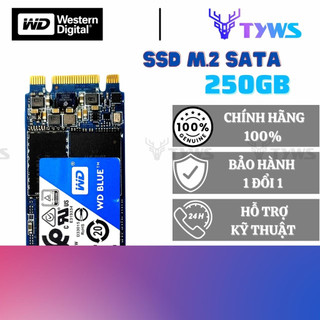 Ổ cứng ssd m.2 2280 sata iii 250gb wd blue western digital wdbm2sata250gb
