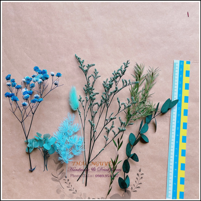 Set hoa khô mix theo tông màu❤️hoa khô nguyên liệu trang trí nến thơm, sáp thơm, resin, làm thiệp, nguyên liệu thủ công