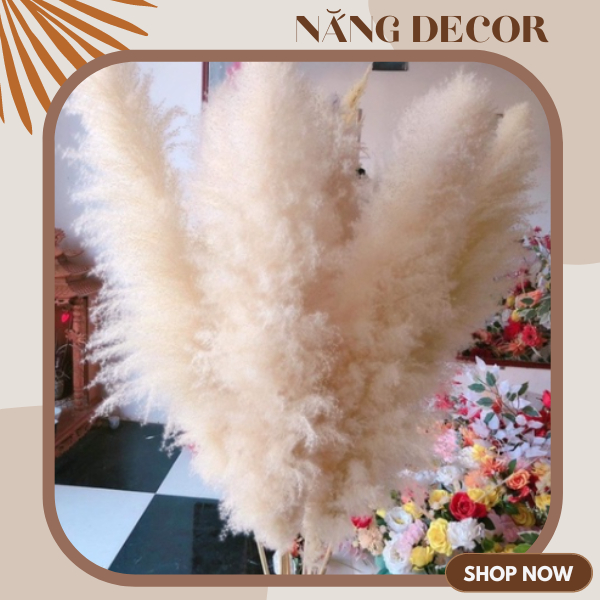 Bông lau xù Bigsize màu trắng ⚡ SIÊU XINH ⚡ Hoa cỏ lau size lớn trang trí bình bông, trang trí sự kiện tiệc cưới độc lạ