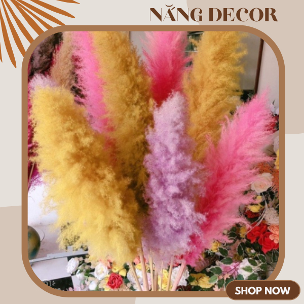 Bông lau decor nhiều màu ⚡ HÀNG LOẠI 1 ⚡ Hoa cỏ lau trang trí nhà cửa, cắm bình bông, trang trí sự kiện siêu bền màu
