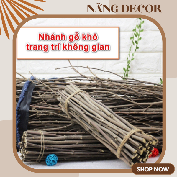 Nhánh gỗ khô trang trí không gian ⚡ HÀNG LOẠI 1 ⚡ Bó 10 nhánh cây khô decor gỗ tự nhiên - đường kính 0.5-1.2cm