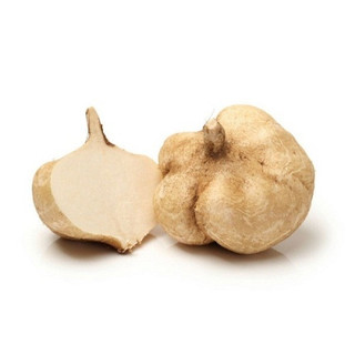 Hạt giống củ đậu gói 500gram - tỷ lệ nảy mầm cao