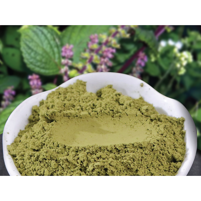 Bột lá tía tô nguyên chất sấy lạnh Ozuna Việt Nam chăm sóc da giúp giảm mụn, mờ thâm nám, sáng da chuyên dùng trong spa