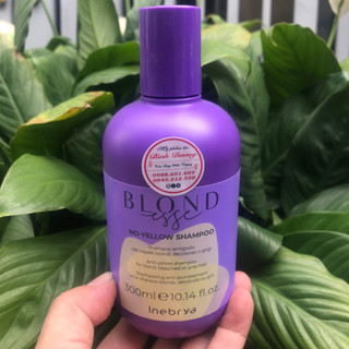 Gội Tím khử ánh Vàng cho ra tóc Bạch Kim INEBRYA No Yellow Shampoo 300ml (2026)