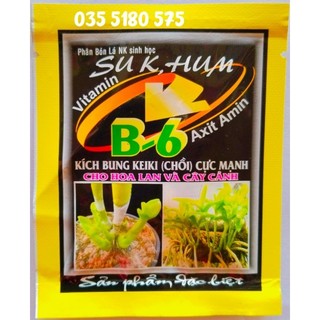 VITAMIN B6 – Kích bung chồi cực mạnh cho hoa lan và cây cảnh