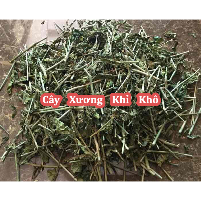 Cây Xương Khỉ