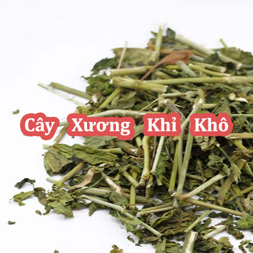 Cây Xương Khỉ