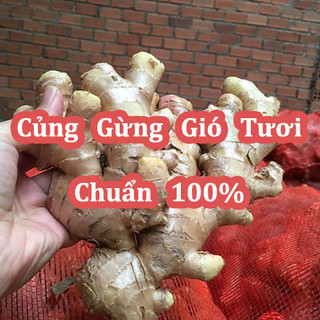 Củ Gừng Gió(Còn Có Tên Là Mai Gan, Ngải Xanh, Gừng Rừng) Tươi Nguyên Cũ