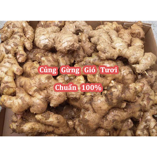 Củ Gừng Gió(Còn Có Tên Là Mai Gan, Ngải Xanh, Gừng Rừng) Tươi Nguyên Cũ