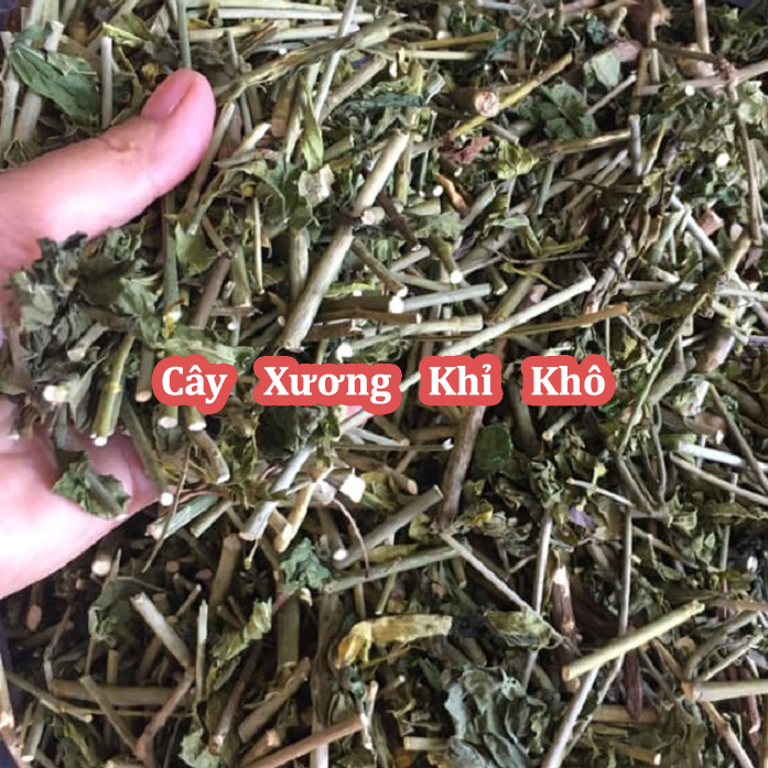 Cây Xương Khỉ
