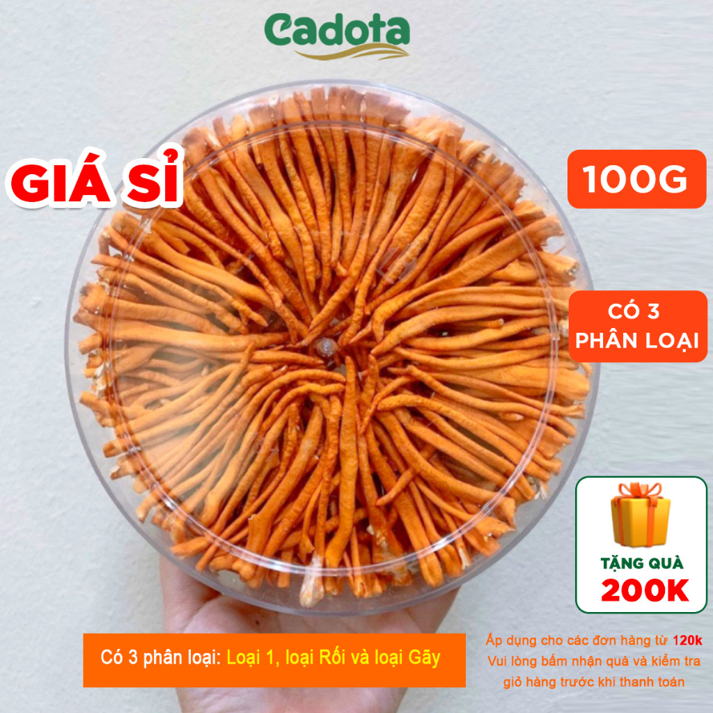 GIÁ SỈ - HŨ 100G - ĐÔNG TRÙNG HẠ THẢO KHÔ – SẤY THĂNG HOA, GIÁ SỈ Cho Khách Lẻ Mua Dùng Và Đại Lý Nhập Thử