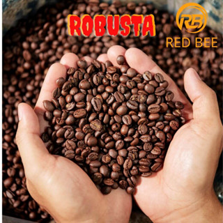 Cafe hạt Robusta, cafe hạt nguyên chất rang mộc 500g