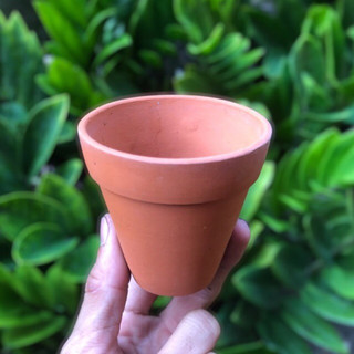 Chậu đất nung size 7x7cm
