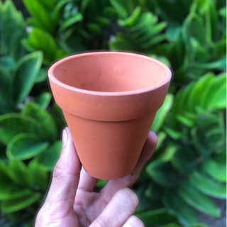 Chậu đất nung size 7x7cm