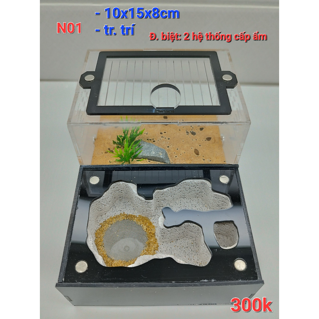 Hộp nuôi kiến/ hộp mica nuôi kiến/ Tank nuôi kiến/ Tank kiến - N01 full phụ kiện