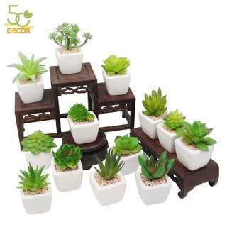 Mô hình hoa, cây cảnh mini trang trí để bàn, cây cảnh giả decor phòng làm việc, bàn học, quà tặng, quà lưu niệm độc đáo