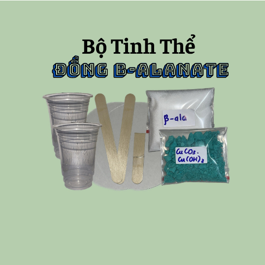 Bộ dụng cụ nuôi tinh thể đồng beta alaninate ( có giấy hướng dẫn )