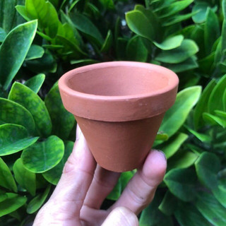 Chậu đất nung 5x5cm
