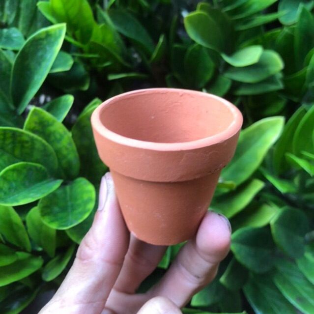 Chậu đất nung 5x5cm