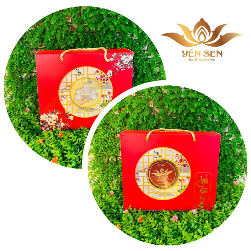 Túi đựng yến tổ sang trọng giá siêu rẻ