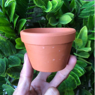 Chậu đất nung size 7x5cm