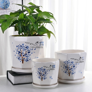 Chậu sành kèm đĩa trồng cây cảnh, bonsai, sen đá..