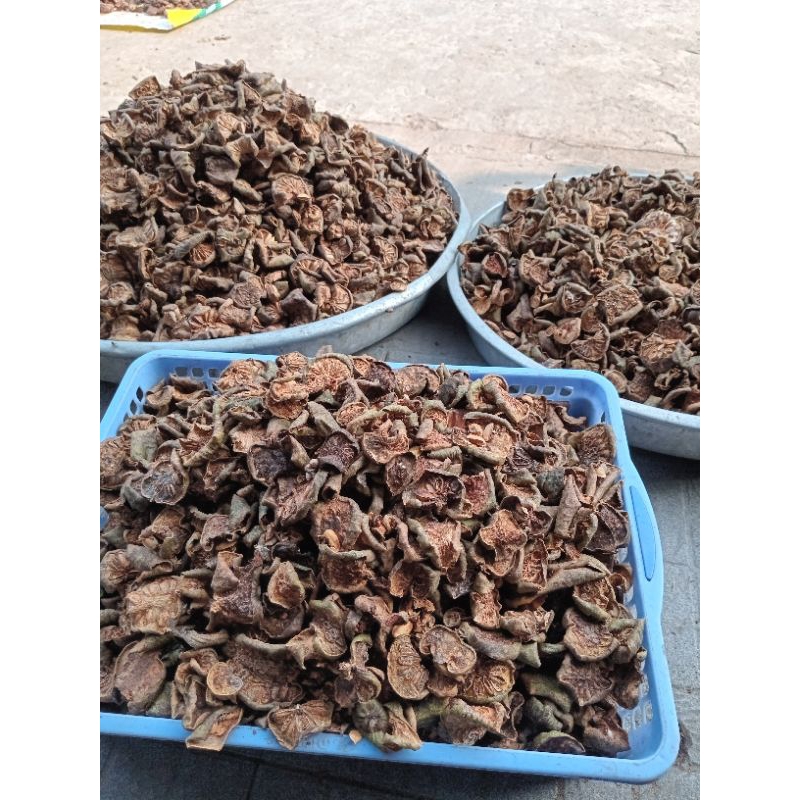Trái Bình Bát Thái Lát Khô (Quả Bình Bát Khô, Bình Bát Khô, Quả Bình Bát Thái Lát Sấy Khô)
