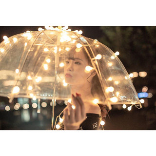 Dây Đèn Led Cherry Ball 50 Bóng Dùng Pin AA