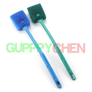 Cây vệ sinh hồ cá 2 mặt - Cây Chà Hồ Cá Hồ Thủy Sinh